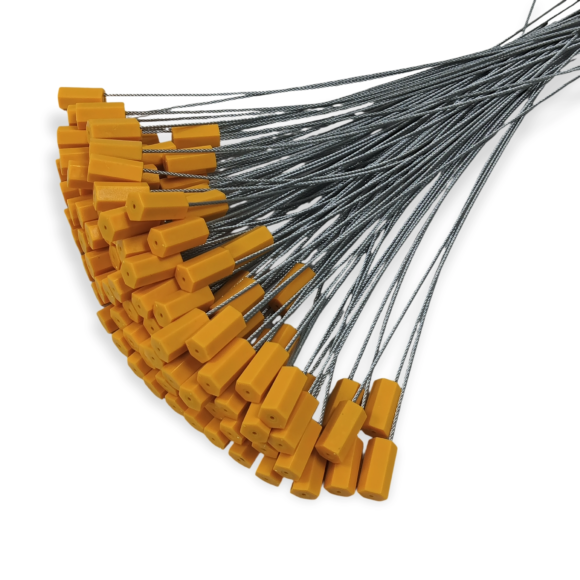 Web-11-HT-SCT-091-v11