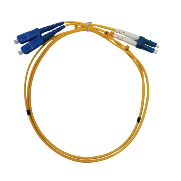 Webp-T-FC-SM1-SCLC (2)